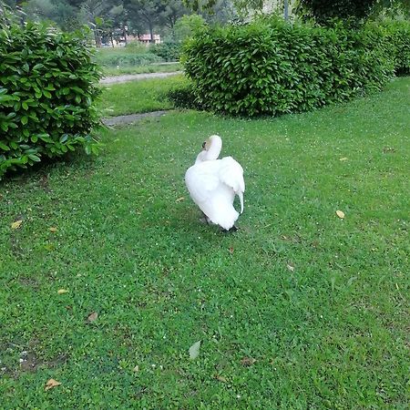 La Cannucciola Piediluco Bagian luar foto