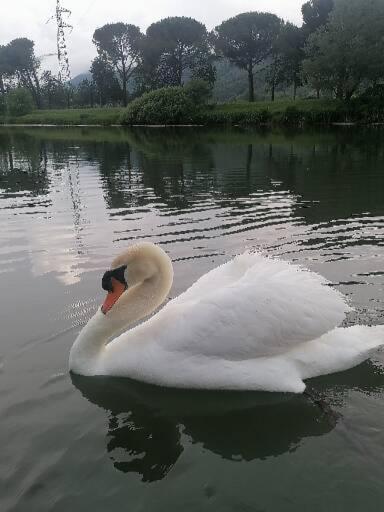 La Cannucciola Piediluco Bagian luar foto