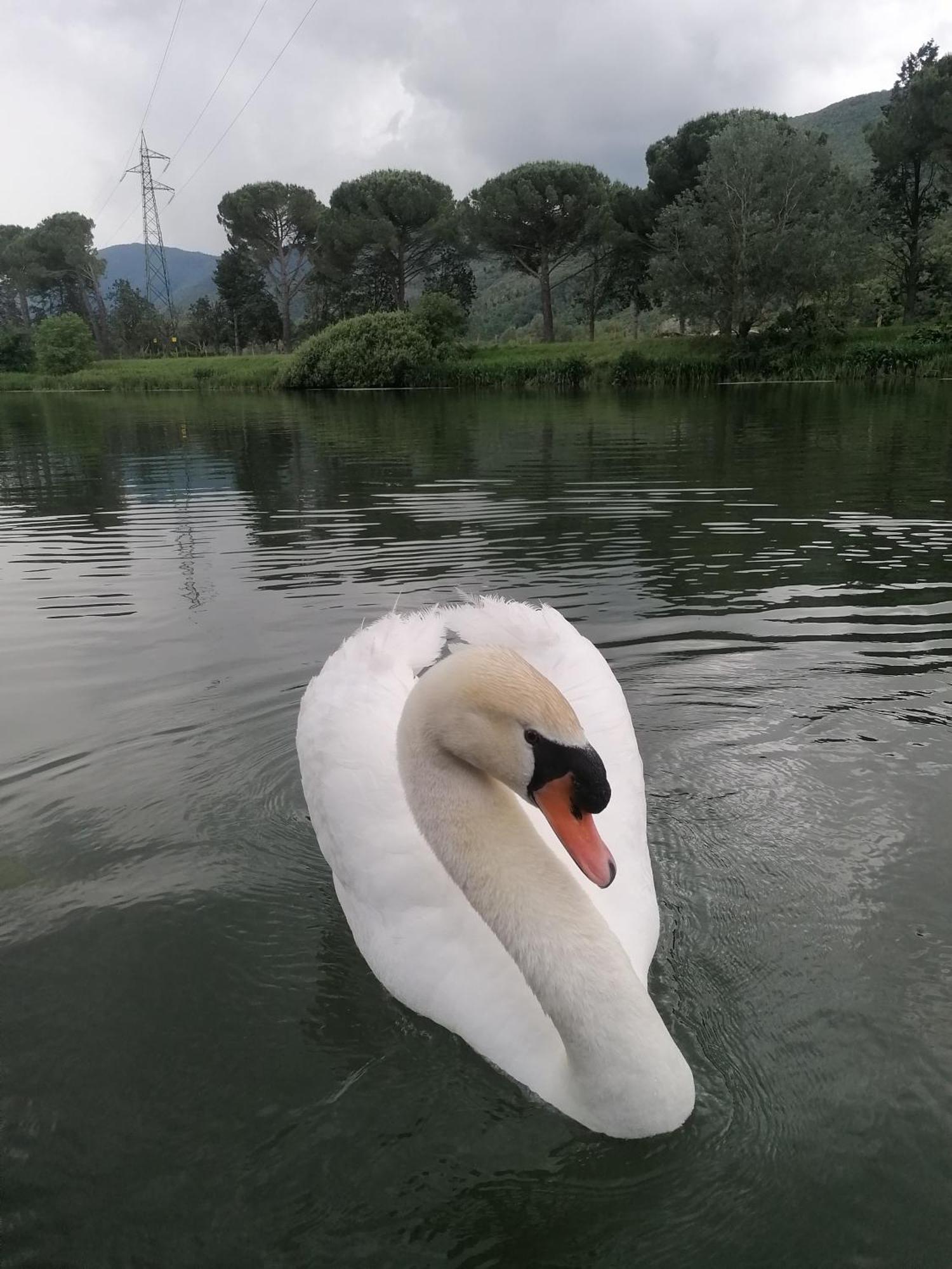 La Cannucciola Piediluco Bagian luar foto