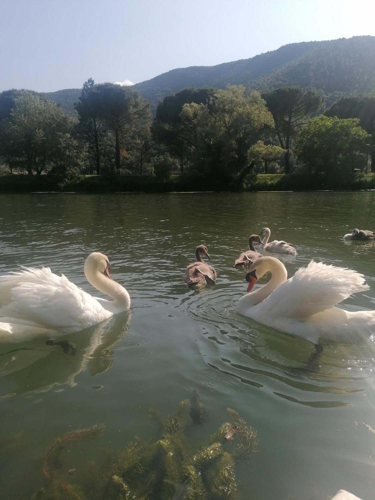 La Cannucciola Piediluco Bagian luar foto